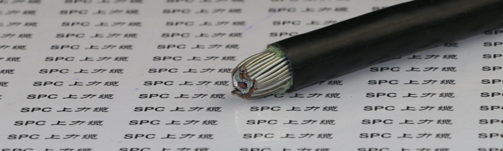 SPCFC-PVC-YCBY变频专用电缆